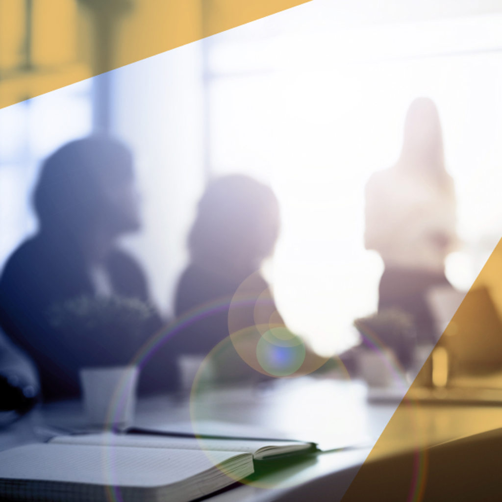 Business Strategy Consulting