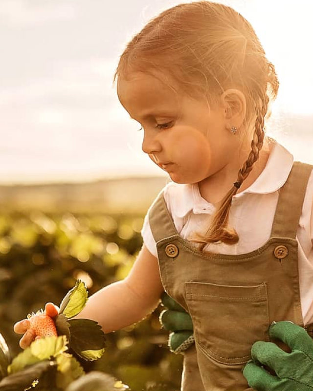 Dutch Valley Foods Work That Moves