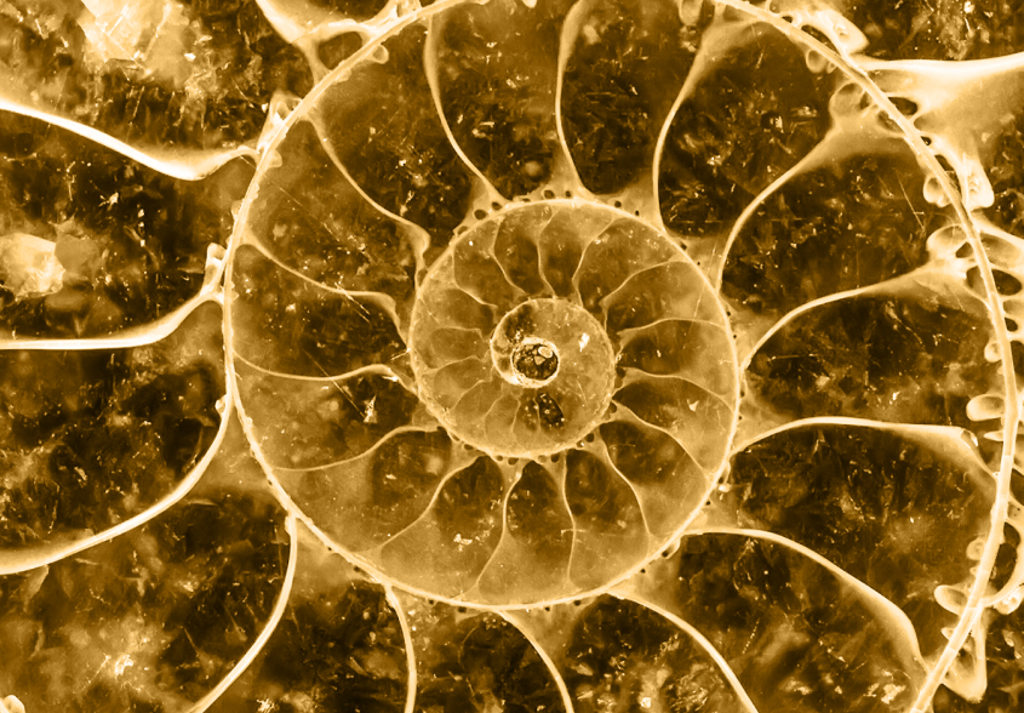 Strategic Consulting