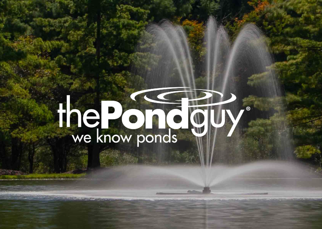 the-pond-guy-intro-image
