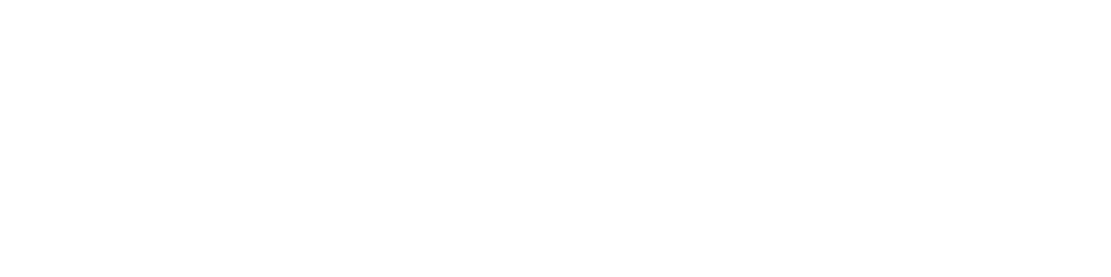 EuroOptic Logo
