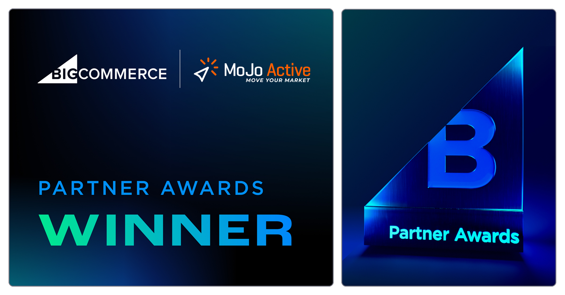 Partner Award Winner Badge Partner Award Winner Badge
